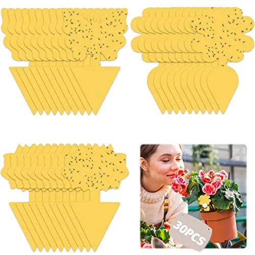 30 PCS Trappola per Mosche Acchiappamosche Adesivo Plant Flycatcher Trappola per Mosche della Frutta Trappola per Insetti per Mo