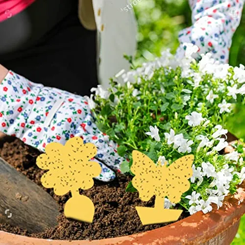 30 PCS Trappola per Mosche Acchiappamosche Adesivo Plant Flycatcher Trappola per Mosche della Frutta Trappola per Insetti per Mo