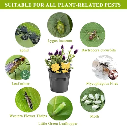 30 PCS Trappola per Mosche Acchiappamosche Adesivo Plant Flycatcher Trappola per Mosche della Frutta Trappola per Insetti per Mo